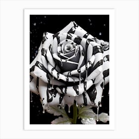 Black And White Rose 7 Art Print