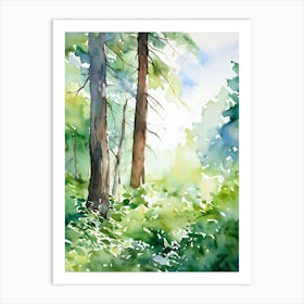 Watercolor Of Trees 7 Art Print