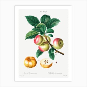 Apple (Malus Communis), Pierre Joseph Redoute Art Print