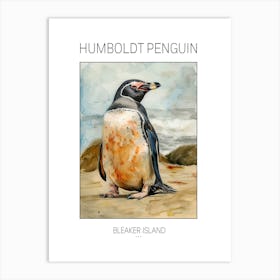 Humboldt Penguin Bleaker Island Watercolour Painting 2 Poster Art Print
