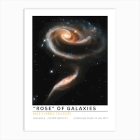 Rose Of Galaxies Art Print