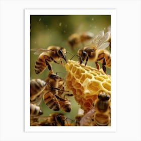 Halictidae Bee Realism Illustration 1 Art Print