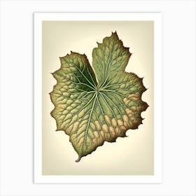 Malva Leaf Vintage Botanical 2 Art Print