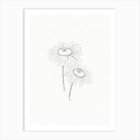 Daisies Pencil Sketch Art Print