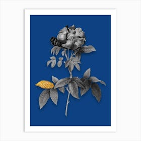 Vintage Provins Rose Black and White Gold Leaf Floral Art on Midnight Blue n.0618 Art Print