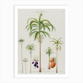 Palm Trees Art Print