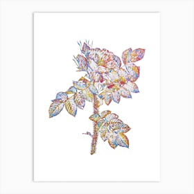 Stained Glass Kamtschatka Rose Mosaic Botanical Illustration on White Art Print