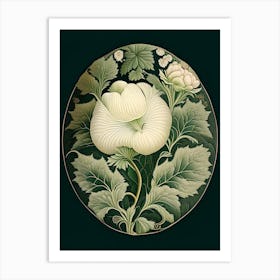 Marshmallow Herb Vintage Botanical Art Print