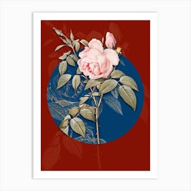 Vintage Botanical Fragrant Rosebush on Circle Blue on Red n.0200 Art Print
