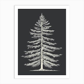 Douglas Fir Tree Minimalistic Drawing 3 Art Print