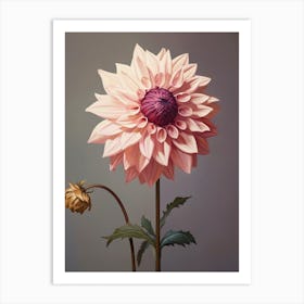 Floral Illustration Dahlia 1 Art Print