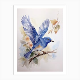 Bluebird Art Print