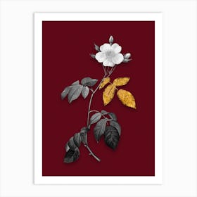 Vintage Big Leaved Climbing Rose Black and White Gold Leaf Floral Art on Burgundy Red n.0929 Art Print