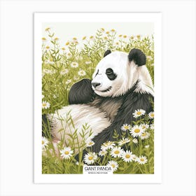 Giant Panda Resting In A Field Of Daisies Poster 8 Art Print