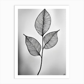 Leaf In Black And White Art Print
