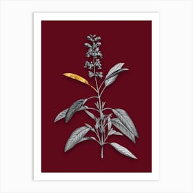 Vintage Sage Plant Black and White Gold Leaf Floral Art on Burgundy Red n.0986 Art Print