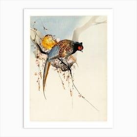 Pheasant Couple And Plum Blossom (1900 1930), Ohara Koson Art Print