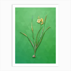 Vintage Gladiolus Lineatus Botanical Art on Classic Green n.1214 Art Print