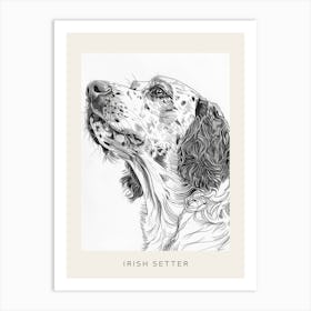 Irish Setter Line Sketch 3 Poster Art Print