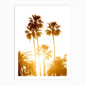 Sunset Palm Trees Art Print