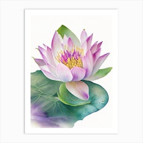 Water Lily Wildflower Watercolour Art Print