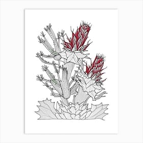 Christmas Cactus William Morris Inspired 1 Art Print