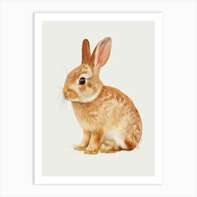 Rhinelander Rabbit Nursery Illustration 4 Art Print