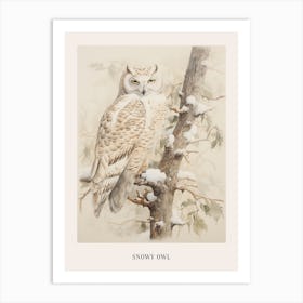 Vintage Bird Drawing Snowy Owl 3 Poster Art Print