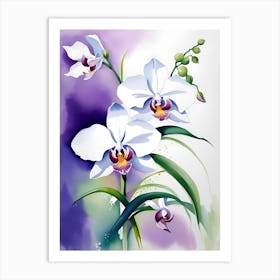 White Orchids 3 Art Print