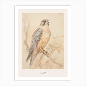 Vintage Bird Drawing Falcon 2 Poster Art Print