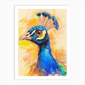 Peacock Portrait Sketch 4 Art Print