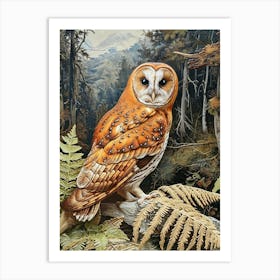 Australian Masked Owl Relief Illustration 3 Art Print