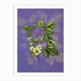 Vintage Common Hoptree Botanical Illustration on Veri Peri n.0607 Art Print