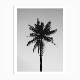 Silhouette Of Palm Tree Art Print