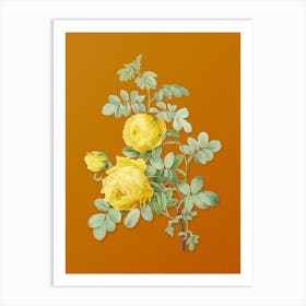Aaeap Vintage Sulphur Rose Botanical On Sunset Orange Art Print