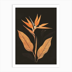 Bird Of Paradise 21 Art Print