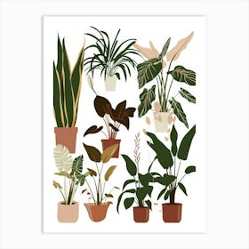 Houseplants In Pots 2 Art Print