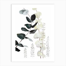 Botanical Illustration Plant Mix2 Art Print