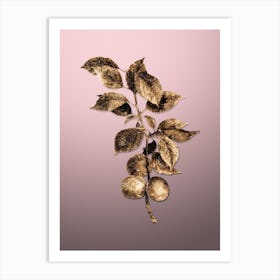 Gold Botanical Briancon Apricot on Rose Quartz n.4041 Art Print