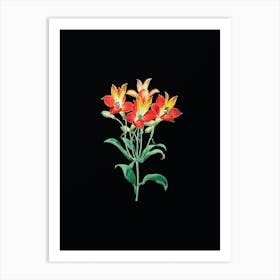 Vintage Red Speckled Flowered Alstromeria Botanical Illustration on Solid Black n.0511 Art Print