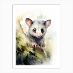 Light Watercolor Painting Of A Curious Possum 4 Art Print