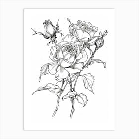 Black And White Rose Line Drawing 2 Art Print