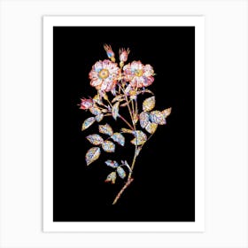 Stained Glass Queen Elizabeth's Sweetbriar Rose Mosaic Botanical Illustration on Black n.0110 Art Print