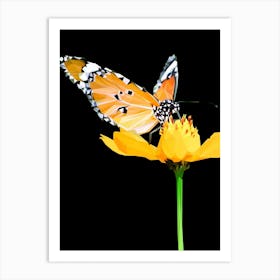 Butterfly On A Flower Art Print