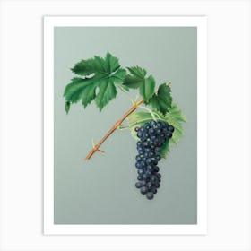 Vintage Black Aleatico Grape Botanical Art on Mint Green n.0584 Art Print