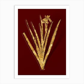 Vintage Stinking Iris Botanical in Gold on Red n.0140 Art Print