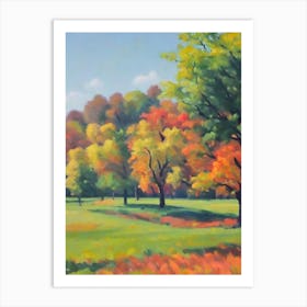 Shagbark Hickory Tree Watercolour Art Print