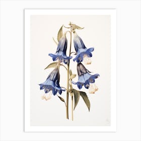 Pressed Flower Botanical Art Bluebell Art Print