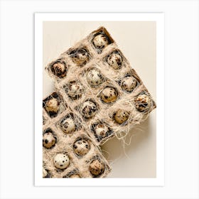 Quail Eggs 23 Art Print