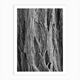 texture Art Print